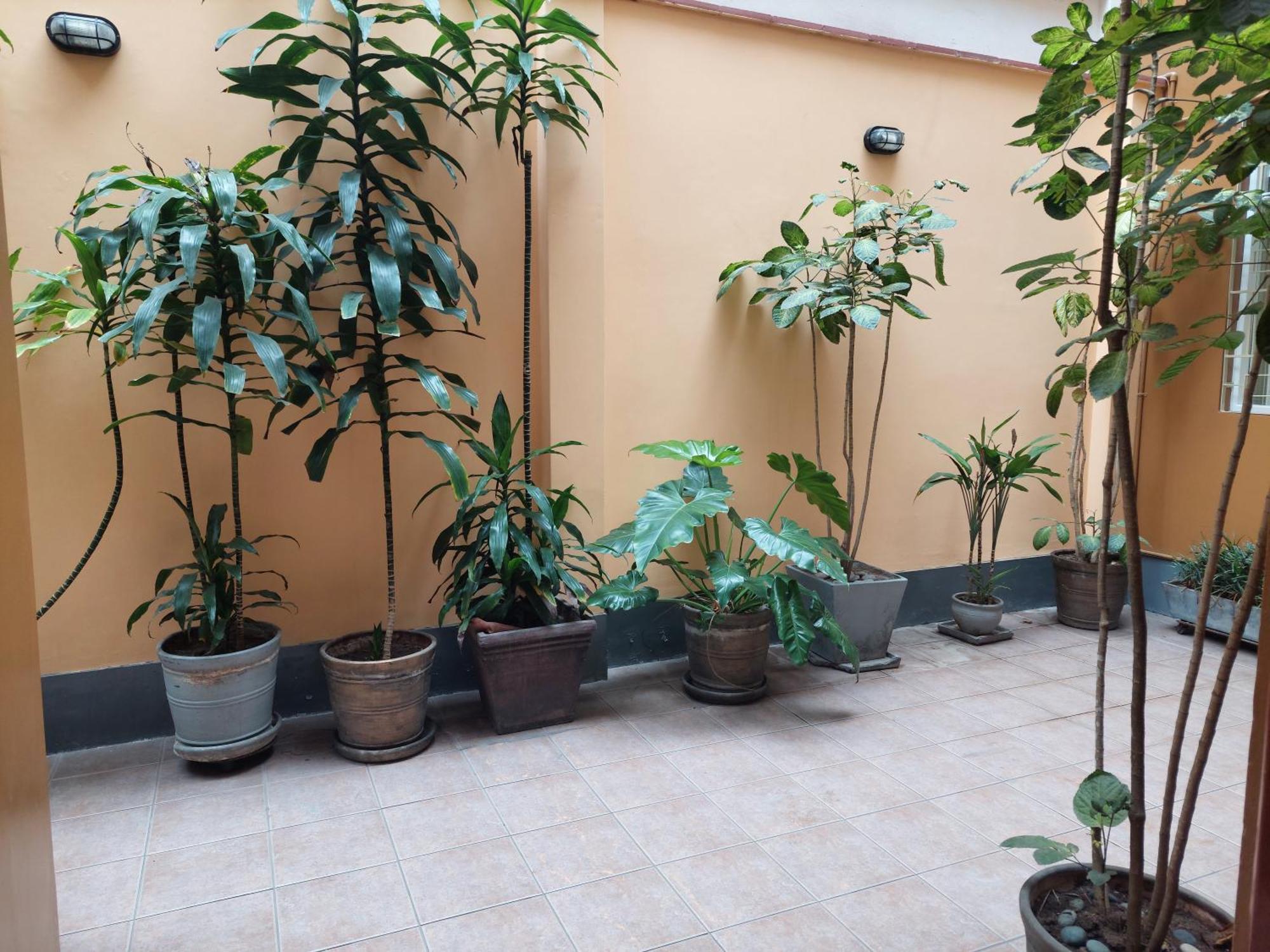 Lima Wasi Hotel Miraflores Eksteriør billede